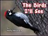 The_Birds_I_ll_See