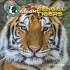 All_about_Asian_bengal_tigers