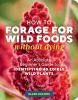 How_to_forage_for_wild_foods_without_dying