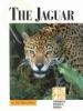 The_jaguar