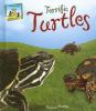 Terrific_turtles