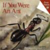 If_you_were_an_ant