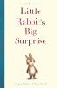 Little_Rabbit_s_big_surprise