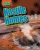Hostile_homes