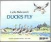 Ducks_fly