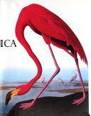 102_Favorite_Audubon_birds_of_America