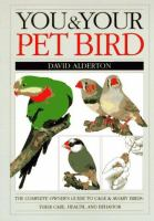 You_and_your_pet_bird