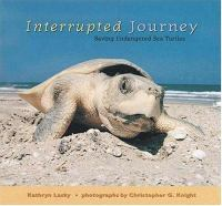 Interrupted_journey
