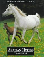 Arabian_horses