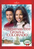 A_Christmas_tree_grows_in_Colorado