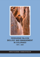 Peregrine_falcon_biology_and_management_in_Colorado__1973-2001