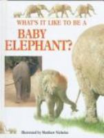 What_s_it_like_to_be_a_baby_elephant_