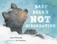 Baby_Bear_s_not_hibernating