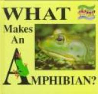 What_makes_an_amphibian_