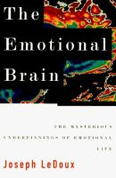 The_emotional_brain