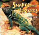 Snakes_and_lizards